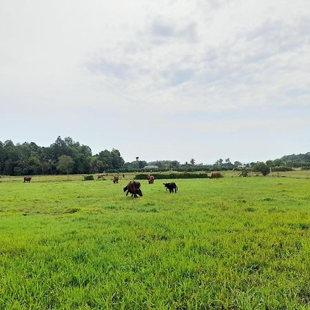 Lotus Farm Retreat ホーチミン市 エクステリア 写真