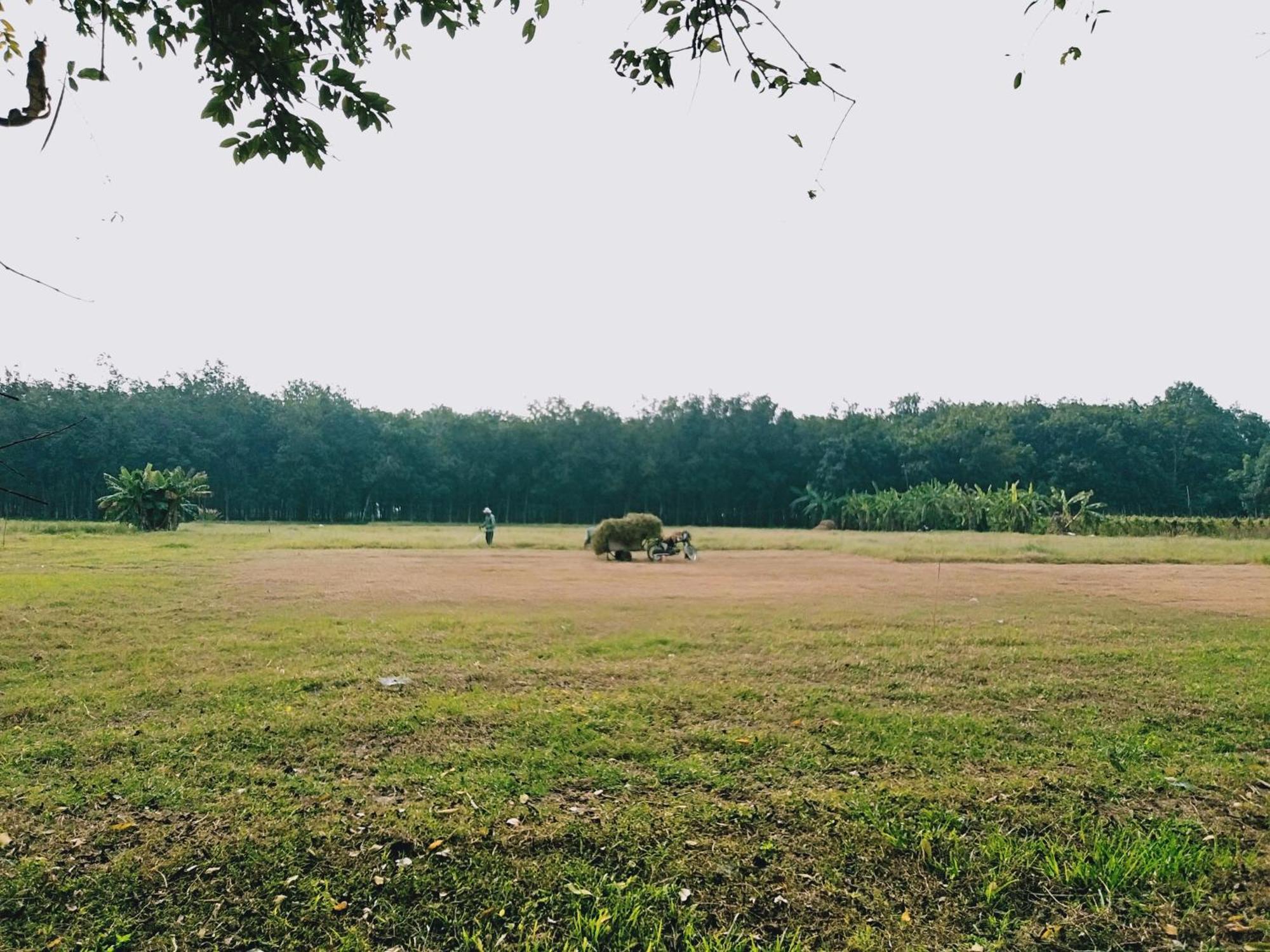 Lotus Retreat ホーチミン市 エクステリア 写真