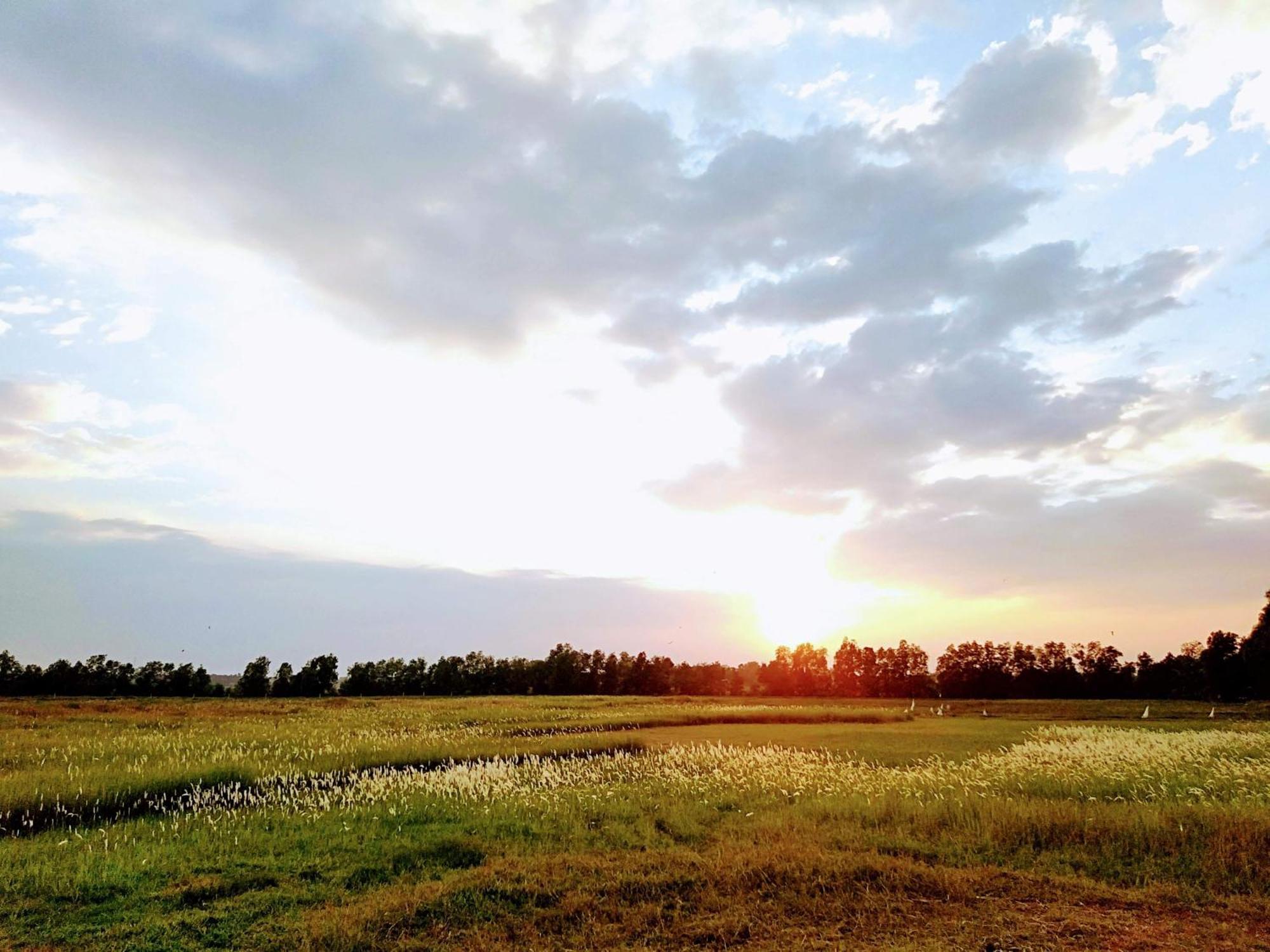 Lotus Retreat ホーチミン市 エクステリア 写真