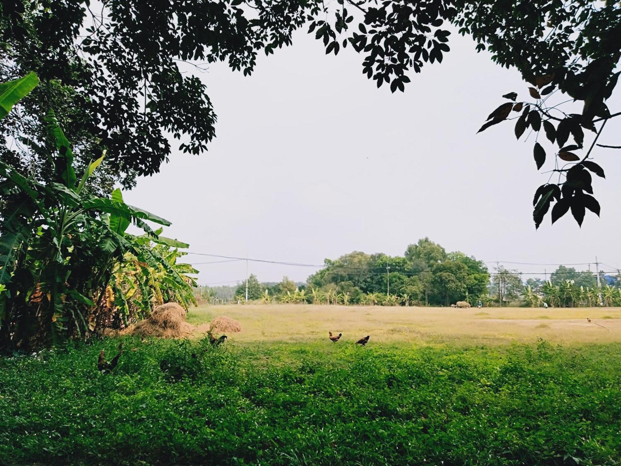 Lotus Farm Retreat ホーチミン市 エクステリア 写真