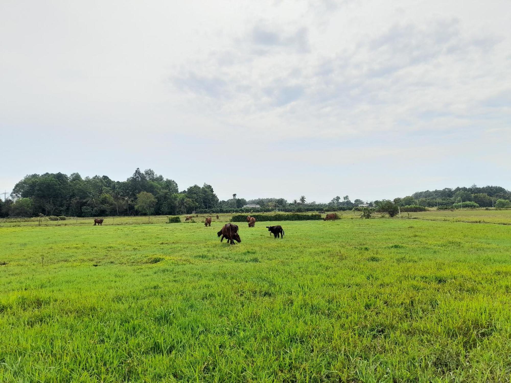 Lotus Farm Retreat ホーチミン市 エクステリア 写真