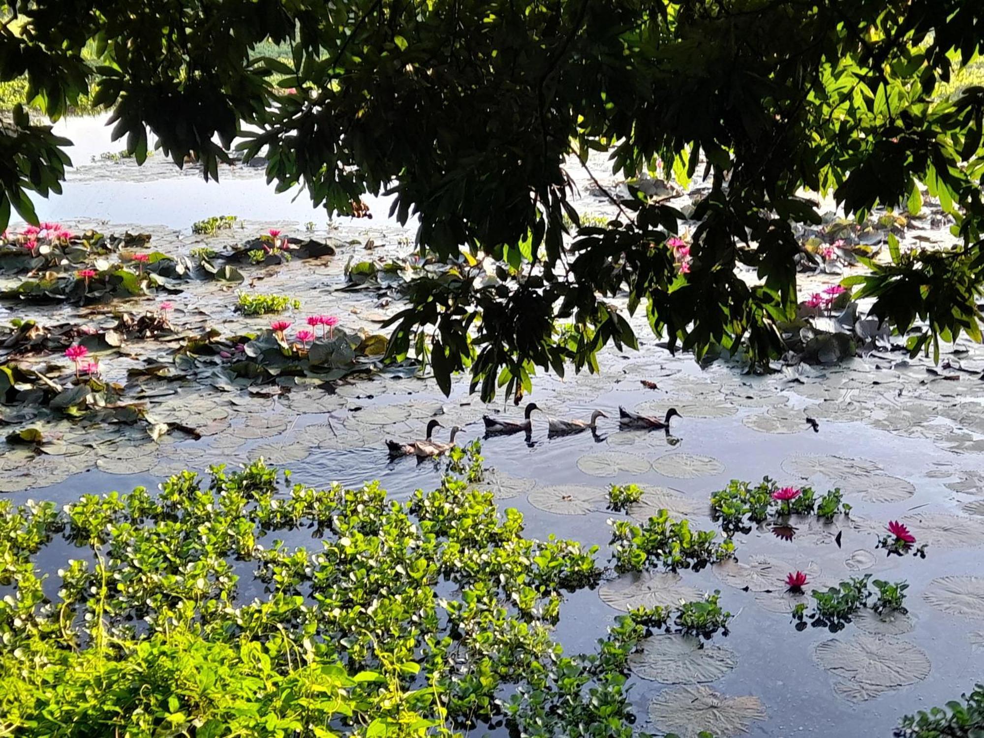 Lotus Retreat ホーチミン市 エクステリア 写真