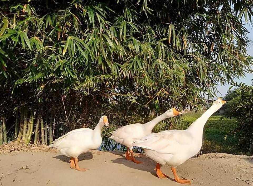 Lotus Farm Retreat ホーチミン市 エクステリア 写真